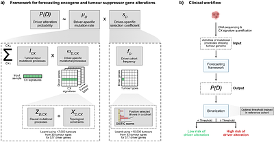 Forecasting oncogene amplification and tumour suppressor deletion