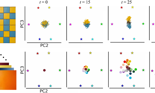 The Latent Color Subspace: Emergent Order in High-Dimensional Chaos
