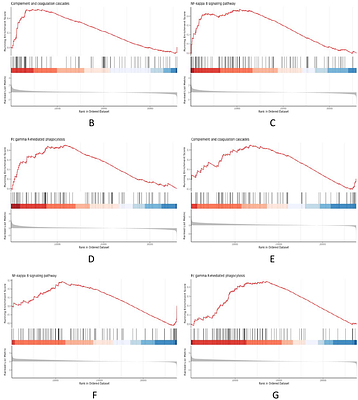 A Multi-Dataset Transcriptomic Analysis Unravels Core Mechanisms Involving Vitamin D Metabolism and Inflammatory Pathways for Frailty Diagnosis.