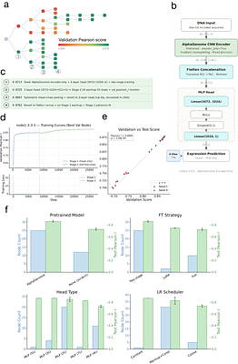 Harnessing AI to Build Virtual Cells