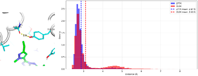 In silico evaluation of the effects of temperature on the affinity of the SV2C ligand UCB-1A to SV2 isoforms