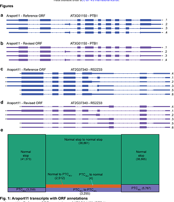 Start right to end right: authentic open reading frame selection matters