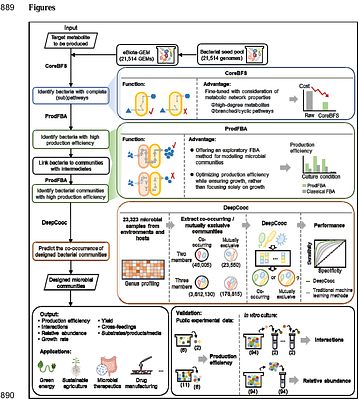 eBiota: Designing microbial communities from large seed pools with desired function using rapid optimization and deep learning