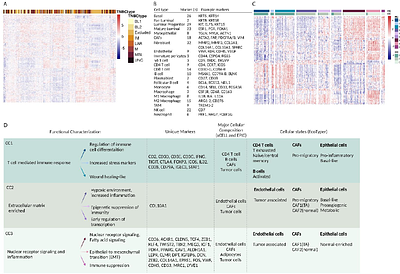A novel subtyping method for TNBC with implications for prognosis and therapy