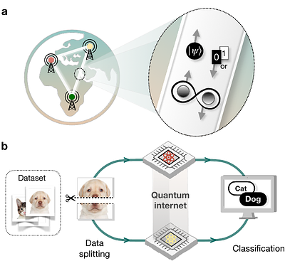 The power of entanglement in distributed quantum machine learning