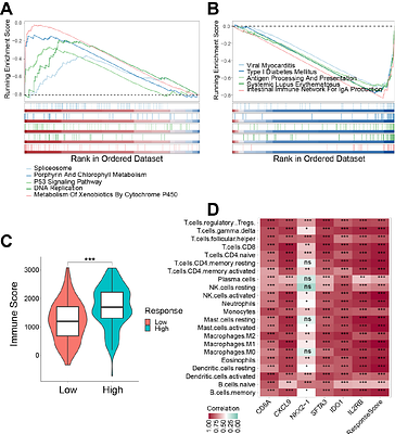 M1 Macrophage-Related Genes Model for NSCLC Immunotherapy Response Prediction