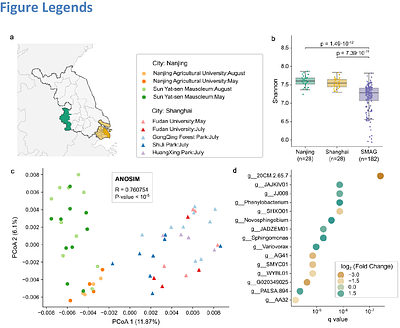 Long-read metagenomic sequencing reveals novel lineages and functional diversity in urban soil microbiome
