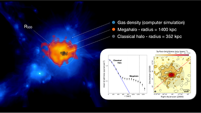 The Large-Scale Structure of the Universe through the SKA lenses