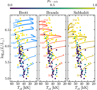 Nitrogen rises to the top: evidence of enhanced mixing in very massive stars