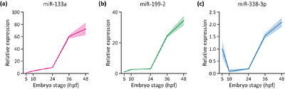 miR-133a and miR-338-3p Shape Neural Crest Derivatives in Zebrafish