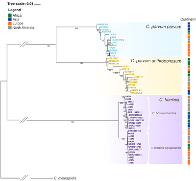An introgressed galectin-like protein is a candidate driver of the human tropism in the intestinal parasite Cryptosporidium