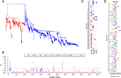 difFUBAR: Scalable Bayesian comparison of adaptive evolution