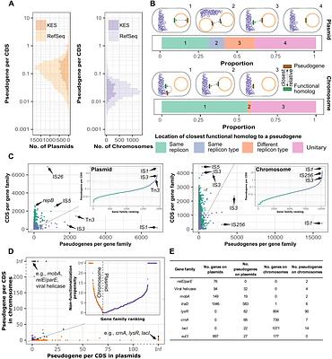 Pseudogenes in plasmid genomes reveal past transitions in plasmid mobility
