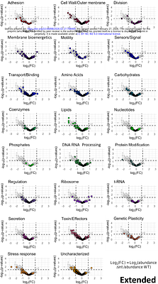 Heterogeneous dynamics of mobile genetic elements encode and spread antibiotic persistence in bacteria