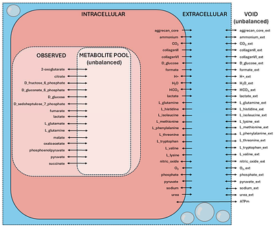 Expanded stoichiometric model of chondrocyte metabolism: response to cyclical shear and compressive loading