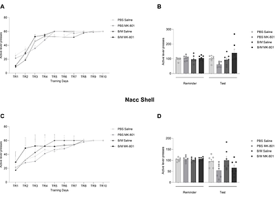 Ventral Hippocampus and NAc Core, but not Shell activity is required for well-learned instrumental memory destabilization