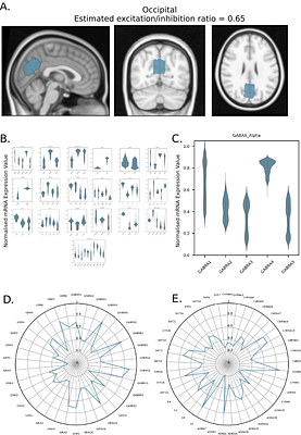 InSpectro-Gadget: A tool for estimating neurotransmitter and neuromodulator receptor distributions for MRS voxels