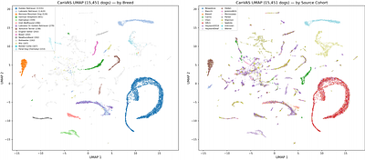 CanVAS: A Harmonized and Imputed Canine Variant Atlas1