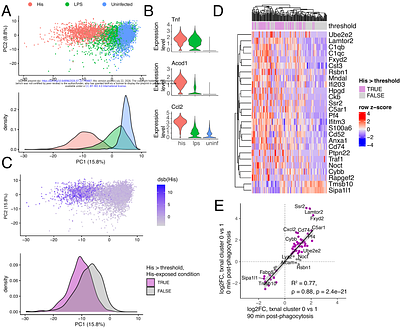 Bacterial surface display enables lysis-independent joint host-pathogen single-cell profiling