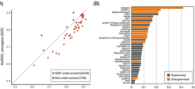 An openly licensed benchmark and per-gene calibration map for missense pathogenicity predictors on activating cancer drivers