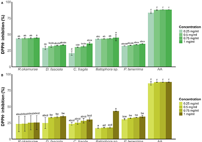 Screening antifungal activity of macroalgae from SE Spain highlights the invader Rugulopteryx okamurae