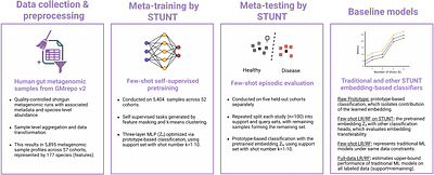 Evaluating Few-Shot Meta-Learning using STUNT for Microbiome-Based Disease Classification