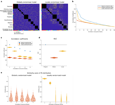 Sperrfy the brain: A data-driven realization of Sperry's Chemoaffinity theory in the neural connectome