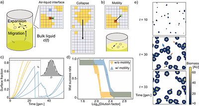 Context-Dependent Adaptation in Structured Environments