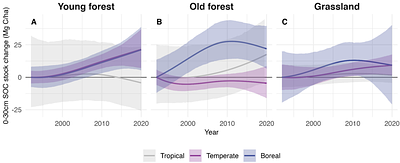 A large global soil carbon sink informed by repeated soil samplings