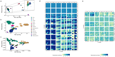 Linking geography and mutation profiles across goat species