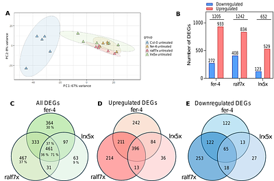 Transcriptomic analysis of FER-RALF-LRX pathway mutants suggests constitutive gene expression defects contribute to powdery mildew resistance