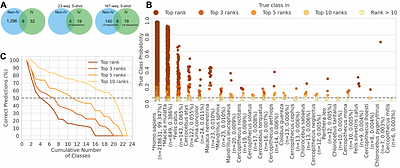 HAVEN: Hierarchical Attention for Viral protEin-based host iNference