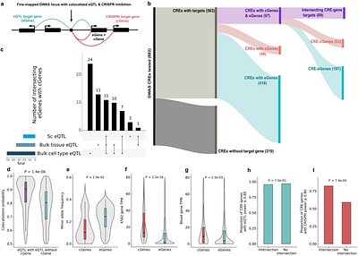 CRISPRi perturbation screens and eQTLs provide complementary and distinct insights into GWAS target genes