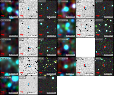 Three Thousand Motion-Confirmed L and T Dwarf Candidates from the Backyard Worlds:~Planet 9 Citizen Science Project