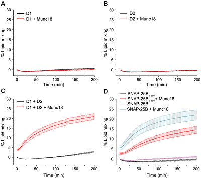 Munc18 reprograms the intrinsic neuronal SNARE complex assembly pathway
