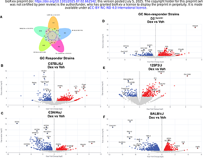 Mechanistic insights into glucocorticoid-induced ocular hypertension using differences in mouse strain responsiveness