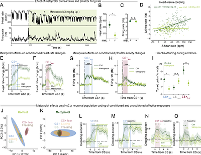 Cardiac signals shape insular cortex activity and emotion coding