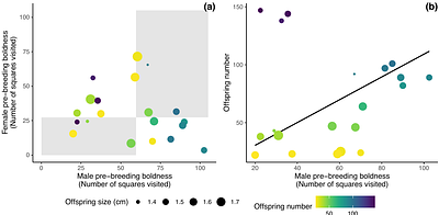 Male boldness and female parental care predict reproductive success in a bi-parental cichlid, the rainbow krib (Pelvicachromis pulcher)