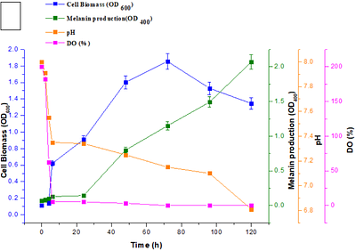 Large-scale production of melanin nanoparticles from Pseudomonas stutzeri strain BTCZ109