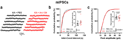 Attenuated single neuron and network hyperexcitability following microRNA-134 inhibition in mice with drug-resistant temporal lobe epilepsy
