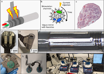 An Implantable Wireless Battery-Free Selective Vagus Nerve Stimulator