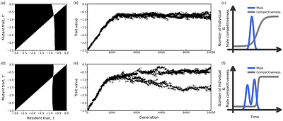 Evolutionary branching of male emergence timing: Trade-offs and variance asymmetry as drivers of dimorphism.