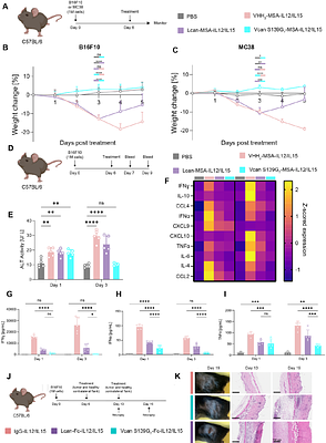 Engineering hyaluronic acid-binding cytokines for enhanced tumor retention and safety