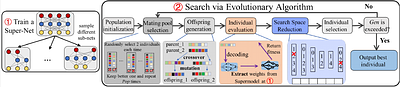 Evolutionary Neural Architecture Search for Transformer in Knowledge
  Tracing