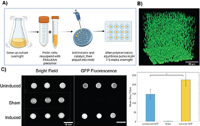 Microbially Driven Reversible Actuation and Color Changing Materials