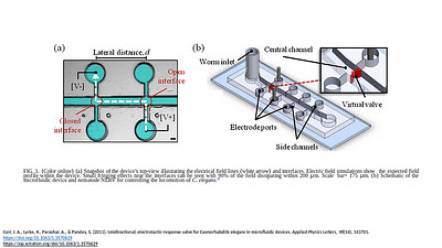 Unidirectional, electrotactic-response valve for Caenorhabditis elegans in microfluidic devices