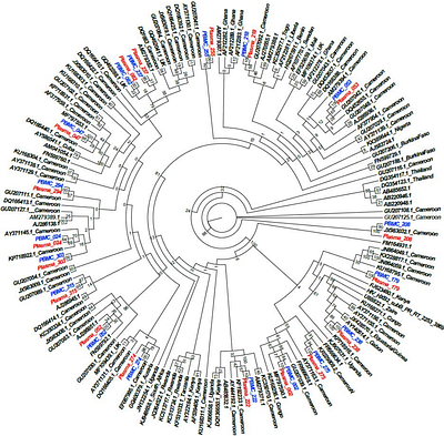 A detailed characterisation of drug resistance during darunavir/ritonavir (DRV/r) monotherapy highlights a high barrier to the emergence of resistance mutations in protease but identifies alternative pathways of resistance