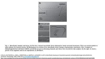Microfluidic bioassay to characterize parasitic nematode phenotype and anthelmintic resistance