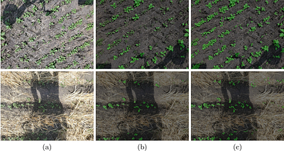 Improved Crop and Weed Detection with Diverse Data Ensemble Learning in
  Agriculture