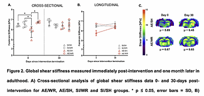 Monitoring lasting changes to brain tissue integrity through mechanical properties following adolescent exercise intervention in a rat model of Fetal Alcohol Spectrum Disorders
